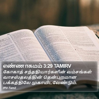 எண்ணாகமம் 3:29 TAMIRV Bible Verse Image