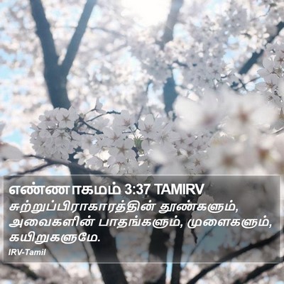 எண்ணாகமம் 3:37 TAMIRV Bible Verse Image