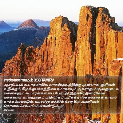 எண்ணாகமம் 3:38 TAMIRV Bible Verse Image