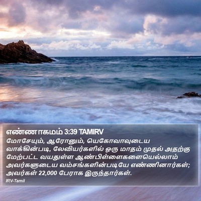 எண்ணாகமம் 3:39 TAMIRV Bible Verse Image