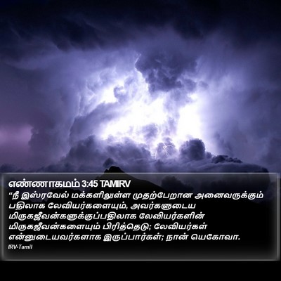 எண்ணாகமம் 3:45 TAMIRV Bible Verse Image
