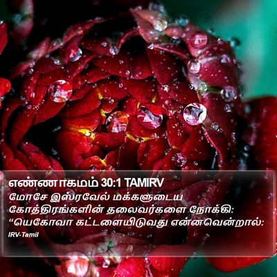 எண்ணாகமம் 30:1 TAMIRV Bible Verse Image