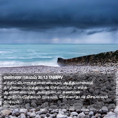 எண்ணாகமம் 30:13 TAMIRV Bible Verse Image