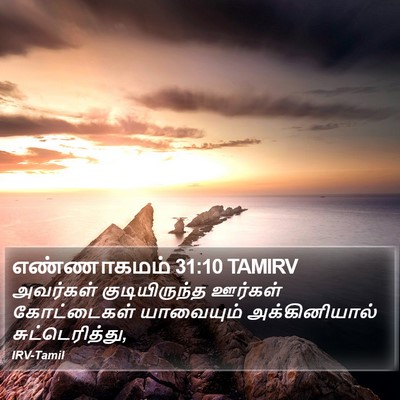 எண்ணாகமம் 31:10 TAMIRV Bible Verse Image