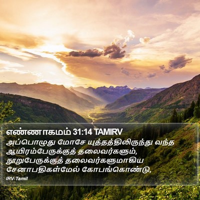 எண்ணாகமம் 31:14 TAMIRV Bible Verse Image