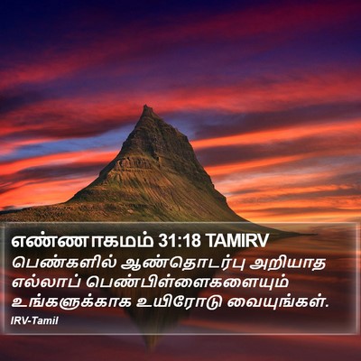 எண்ணாகமம் 31:18 TAMIRV Bible Verse Image