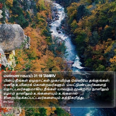 எண்ணாகமம் 31:19 TAMIRV Bible Verse Image