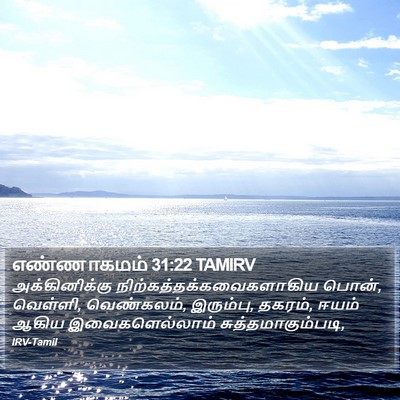 எண்ணாகமம் 31:22 TAMIRV Bible Verse Image