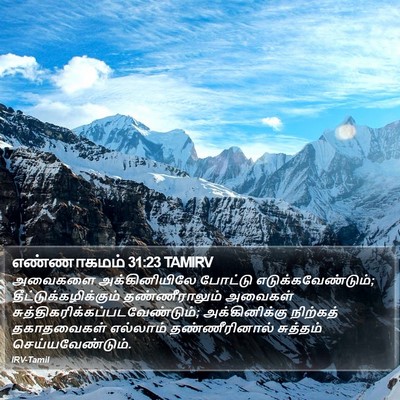 எண்ணாகமம் 31:23 TAMIRV Bible Verse Image