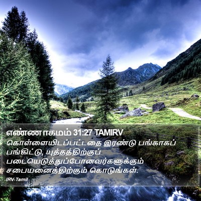 எண்ணாகமம் 31:27 TAMIRV Bible Verse Image