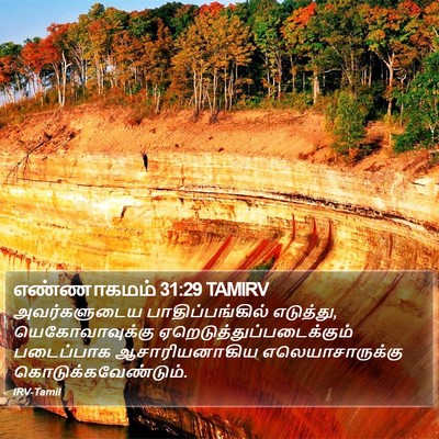 எண்ணாகமம் 31:29 TAMIRV Bible Verse Image