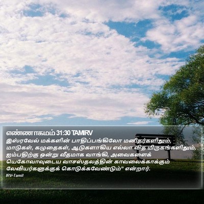 எண்ணாகமம் 31:30 TAMIRV Bible Verse Image
