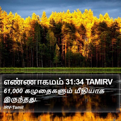 எண்ணாகமம் 31:34 TAMIRV Bible Verse Image