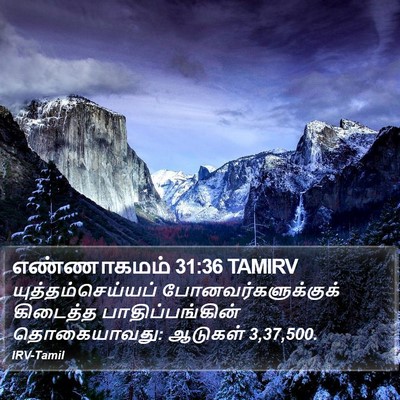 எண்ணாகமம் 31:36 TAMIRV Bible Verse Image