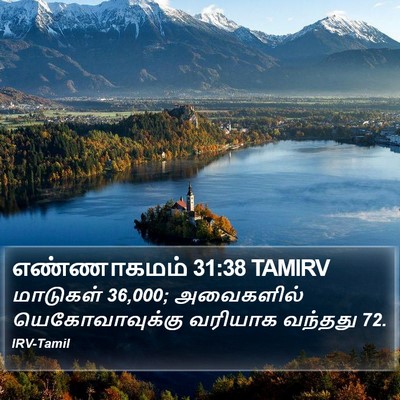 எண்ணாகமம் 31:38 TAMIRV Bible Verse Image