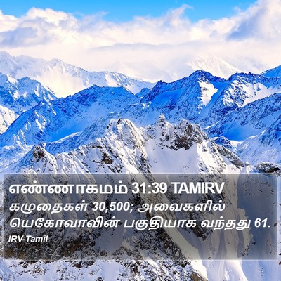 எண்ணாகமம் 31:39 TAMIRV Bible Verse Image