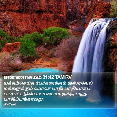 எண்ணாகமம் 31:42 TAMIRV Bible Verse Image
