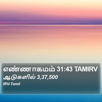 எண்ணாகமம் 31:43 TAMIRV Bible Verse Image