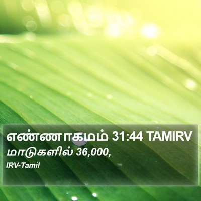 எண்ணாகமம் 31:44 TAMIRV Bible Verse Image