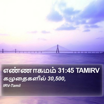 எண்ணாகமம் 31:45 TAMIRV Bible Verse Image