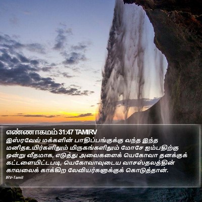 எண்ணாகமம் 31:47 TAMIRV Bible Verse Image