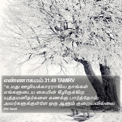 எண்ணாகமம் 31:49 TAMIRV Bible Verse Image