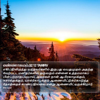 எண்ணாகமம் 32:12 TAMIRV Bible Verse Image