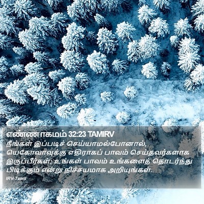 எண்ணாகமம் 32:23 TAMIRV Bible Verse Image