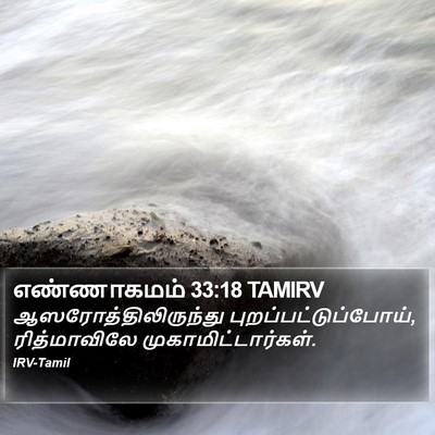 எண்ணாகமம் 33:18 TAMIRV Bible Verse Image