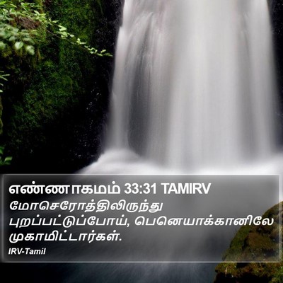 எண்ணாகமம் 33:31 TAMIRV Bible Verse Image