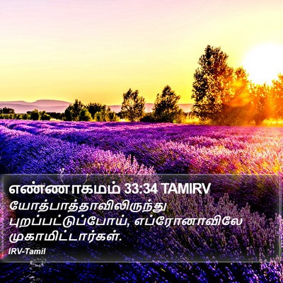 எண்ணாகமம் 33:34 TAMIRV Bible Verse Image