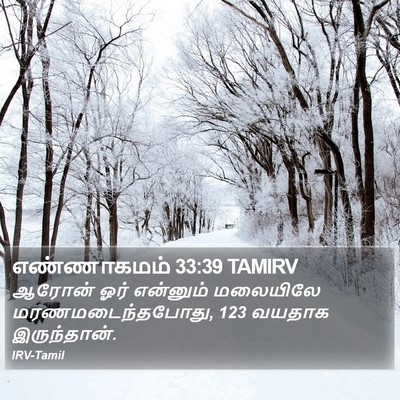 எண்ணாகமம் 33:39 TAMIRV Bible Verse Image