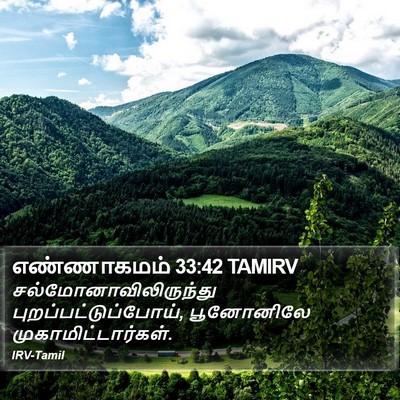 எண்ணாகமம் 33:42 TAMIRV Bible Verse Image
