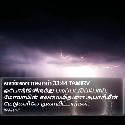 எண்ணாகமம் 33:44 TAMIRV Bible Verse Image