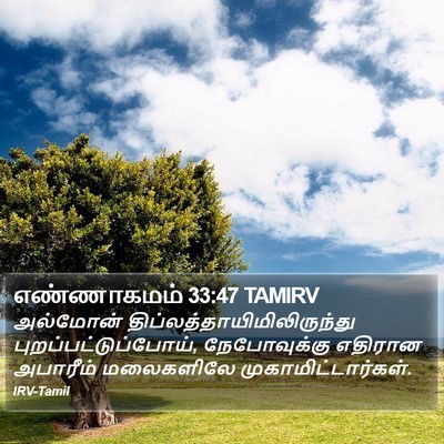 எண்ணாகமம் 33:47 TAMIRV Bible Verse Image
