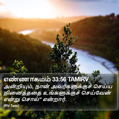 எண்ணாகமம் 33:56 TAMIRV Bible Verse Image