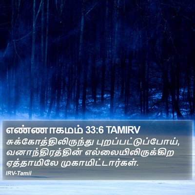 எண்ணாகமம் 33:6 TAMIRV Bible Verse Image