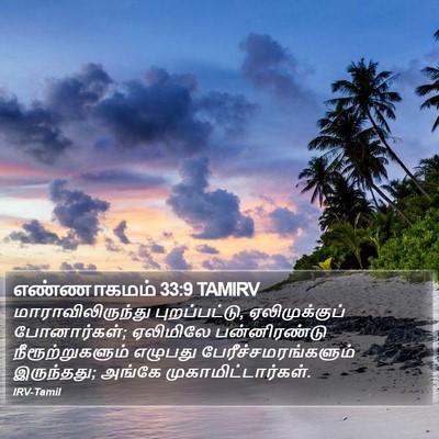 எண்ணாகமம் 33:9 TAMIRV Bible Verse Image