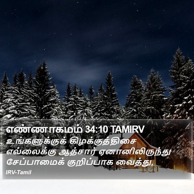 எண்ணாகமம் 34:10 TAMIRV Bible Verse Image