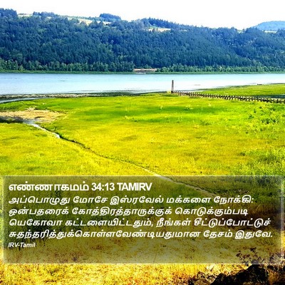 எண்ணாகமம் 34:13 TAMIRV Bible Verse Image