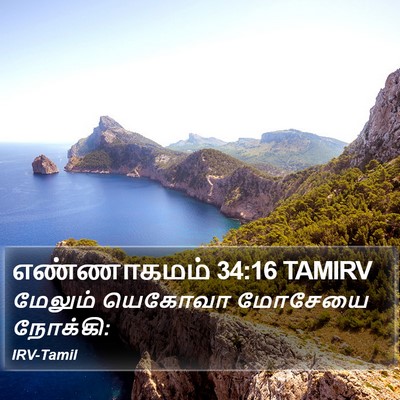 எண்ணாகமம் 34:16 TAMIRV Bible Verse Image