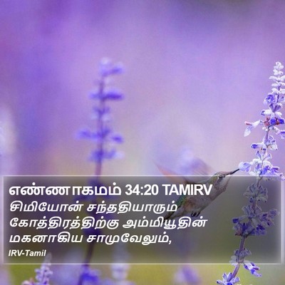 எண்ணாகமம் 34:20 TAMIRV Bible Verse Image