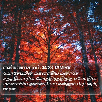 எண்ணாகமம் 34:23 TAMIRV Bible Verse Image