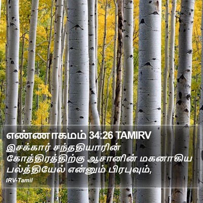 எண்ணாகமம் 34:26 TAMIRV Bible Verse Image