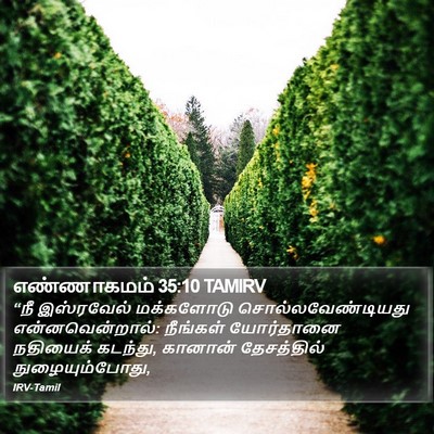 எண்ணாகமம் 35:10 TAMIRV Bible Verse Image