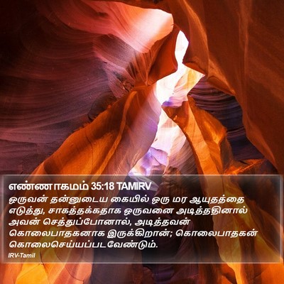எண்ணாகமம் 35:18 TAMIRV Bible Verse Image