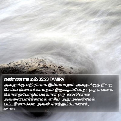எண்ணாகமம் 35:23 TAMIRV Bible Verse Image
