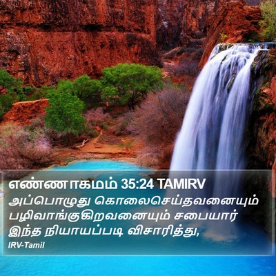 எண்ணாகமம் 35:24 TAMIRV Bible Verse Image