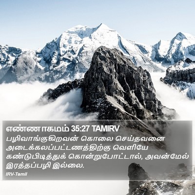 எண்ணாகமம் 35:27 TAMIRV Bible Verse Image
