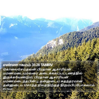 எண்ணாகமம் 35:28 TAMIRV Bible Verse Image